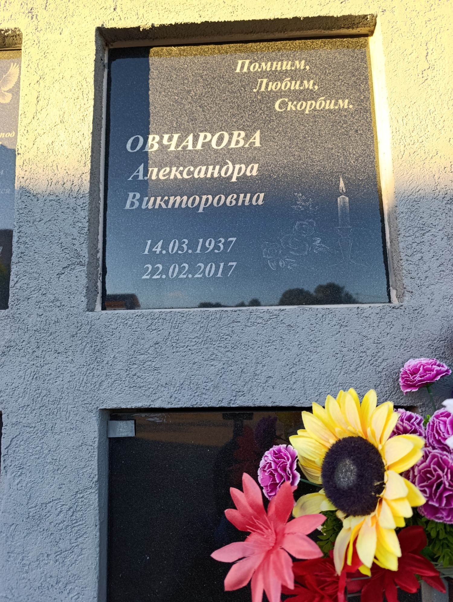 Овчарова Александра Викторовна