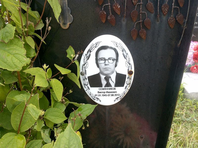Семянников