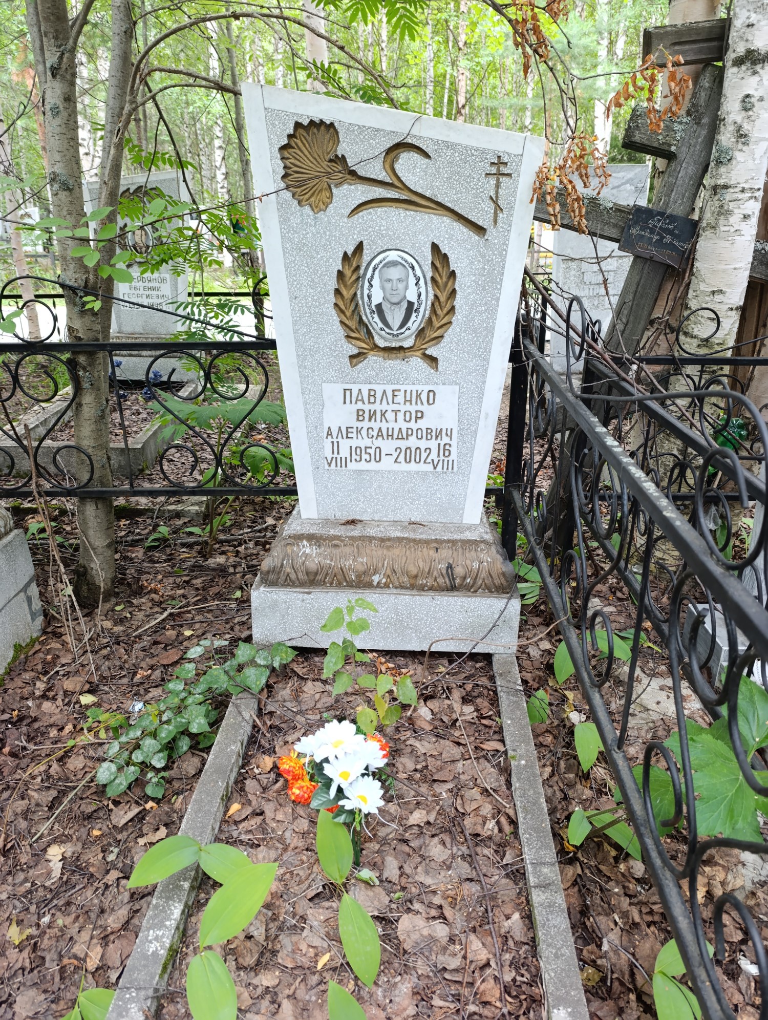 Павленко Виктор Александрович
