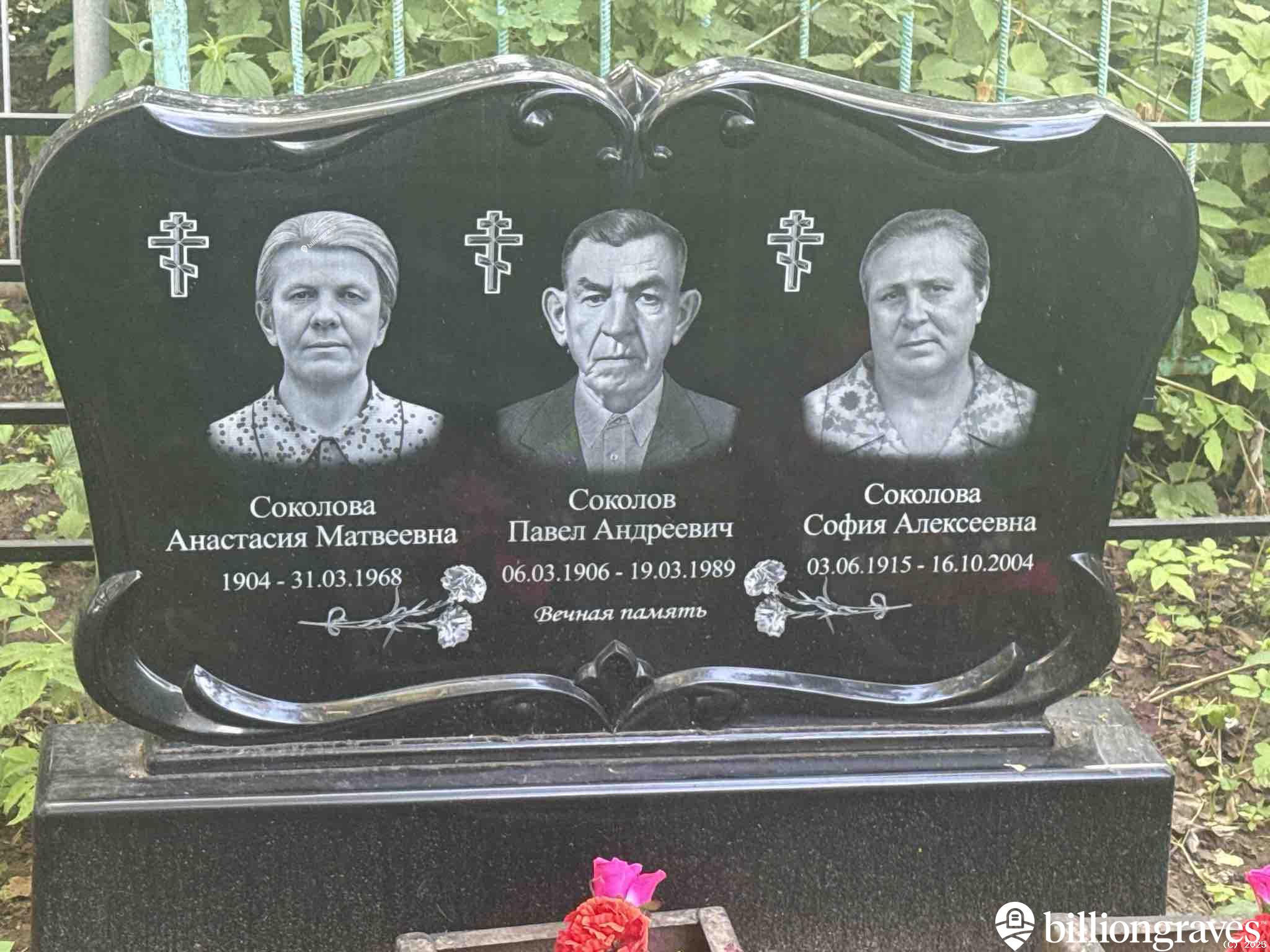 Соколова Анастасия Матвеевна