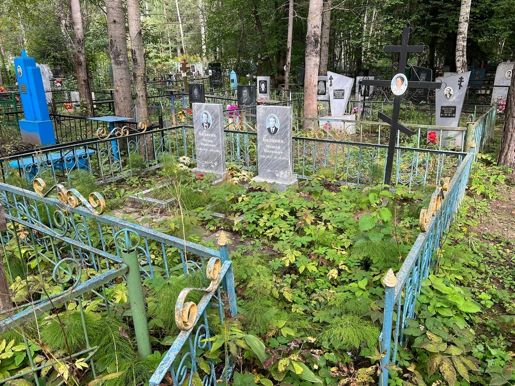 Балакина Екатерина Лазаревна