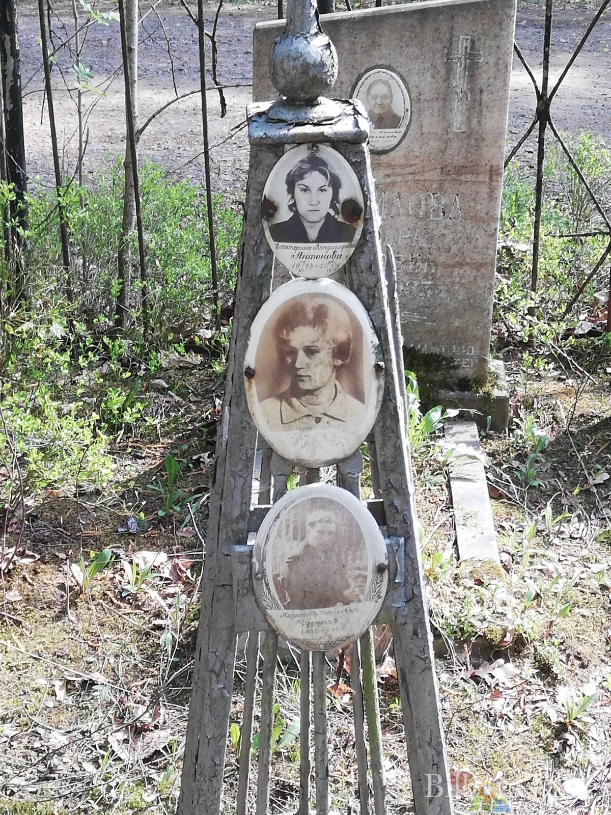 Антонова Екатерина Владимировна