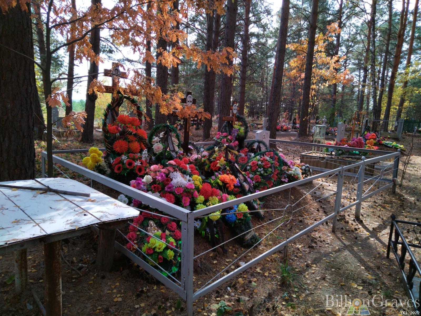 Подкорытова Надежда Ивановна