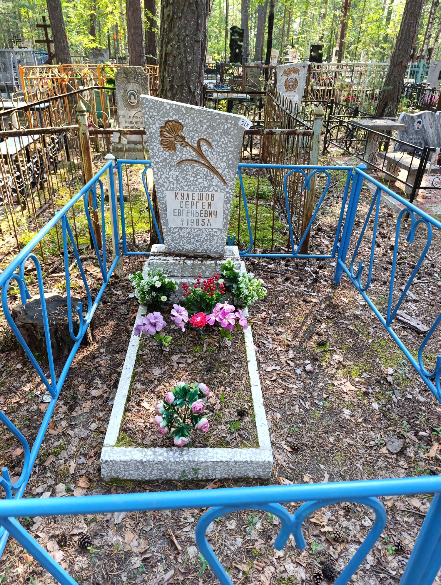 Кулешов Сергей Евгеньевич