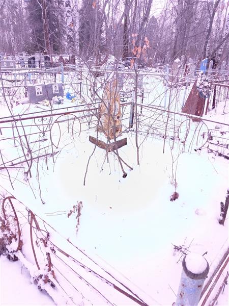 Фоминых Петр Григорьевич