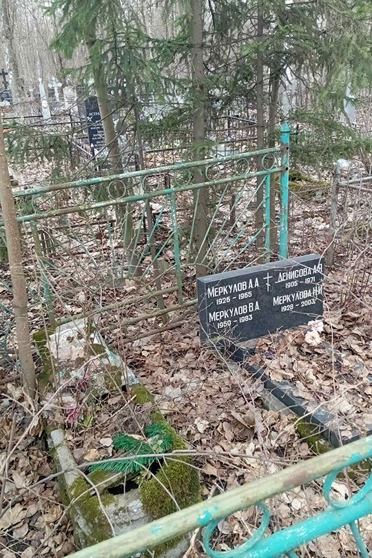 Меркулова Н. И.