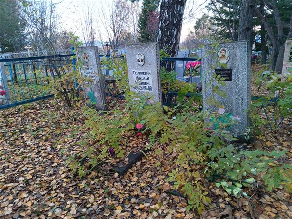 Селиневич Георгий Иванович