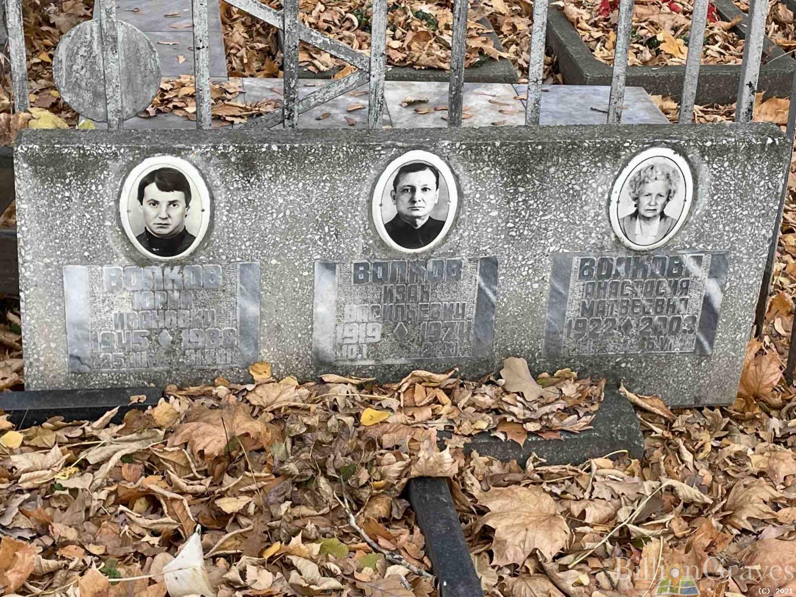 Волкова Анастасия Матвеевна