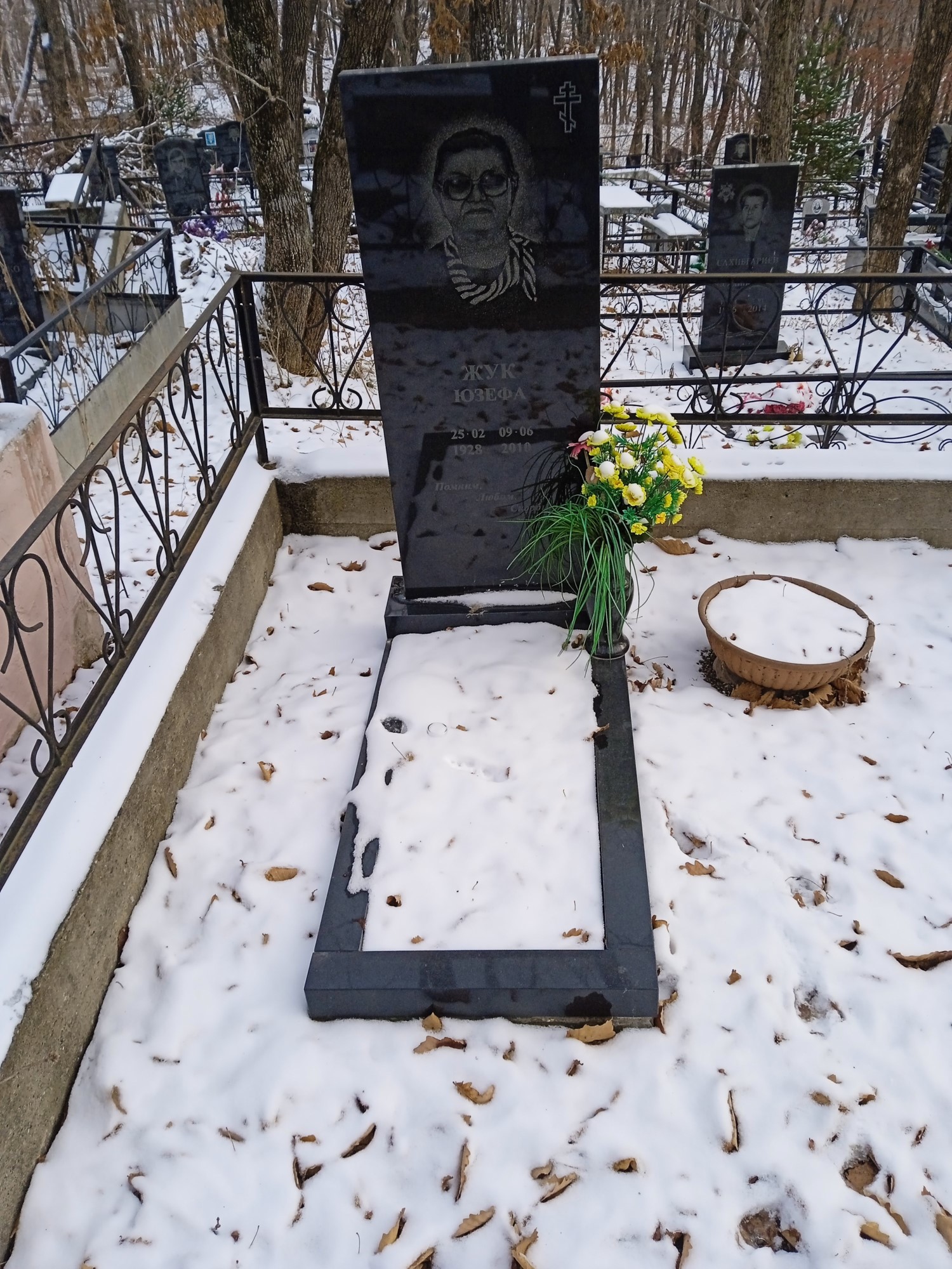 Жук Юзефа