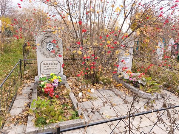 Витютнев Александр
