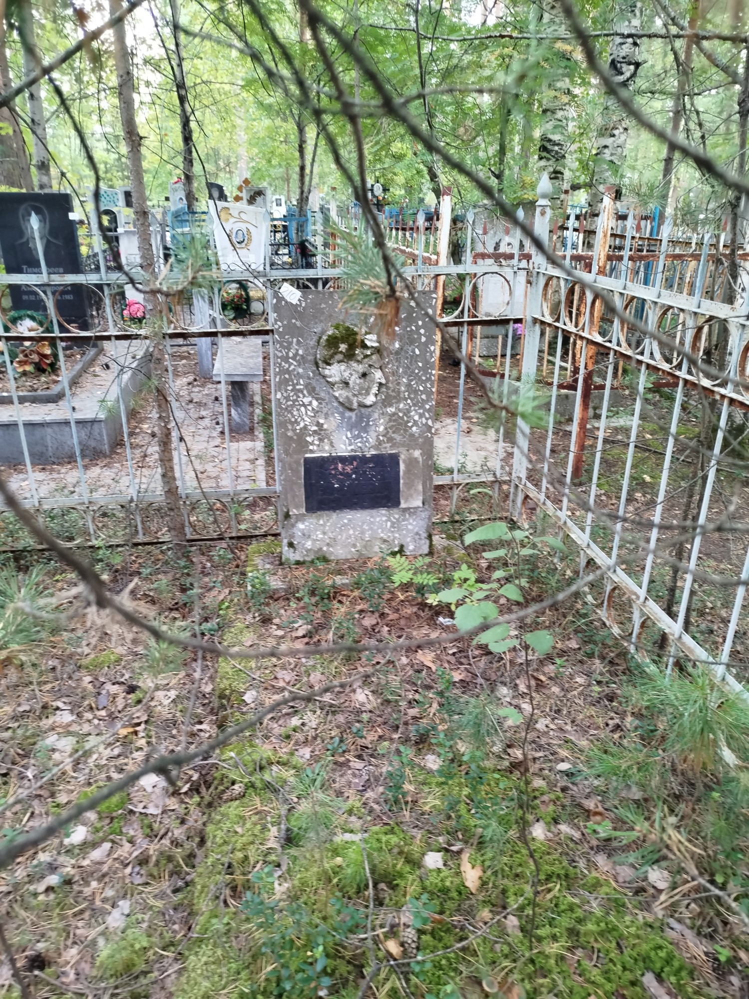 Сахаров Вячеслав Георгиевич