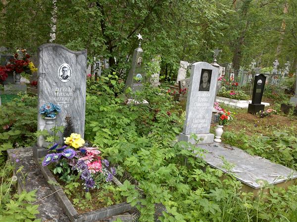 Подкина Ирина Павловна