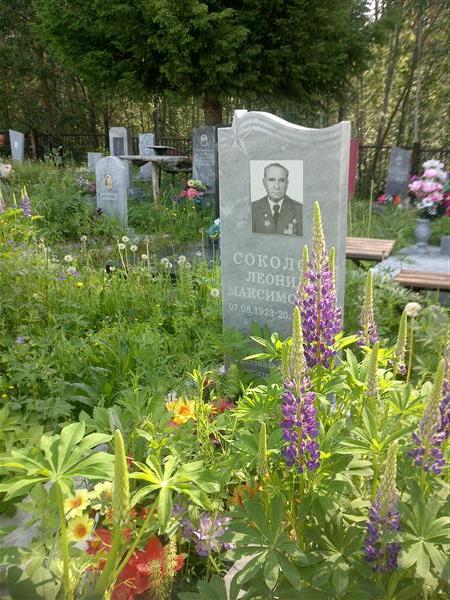 Соколов Леонид Максимович