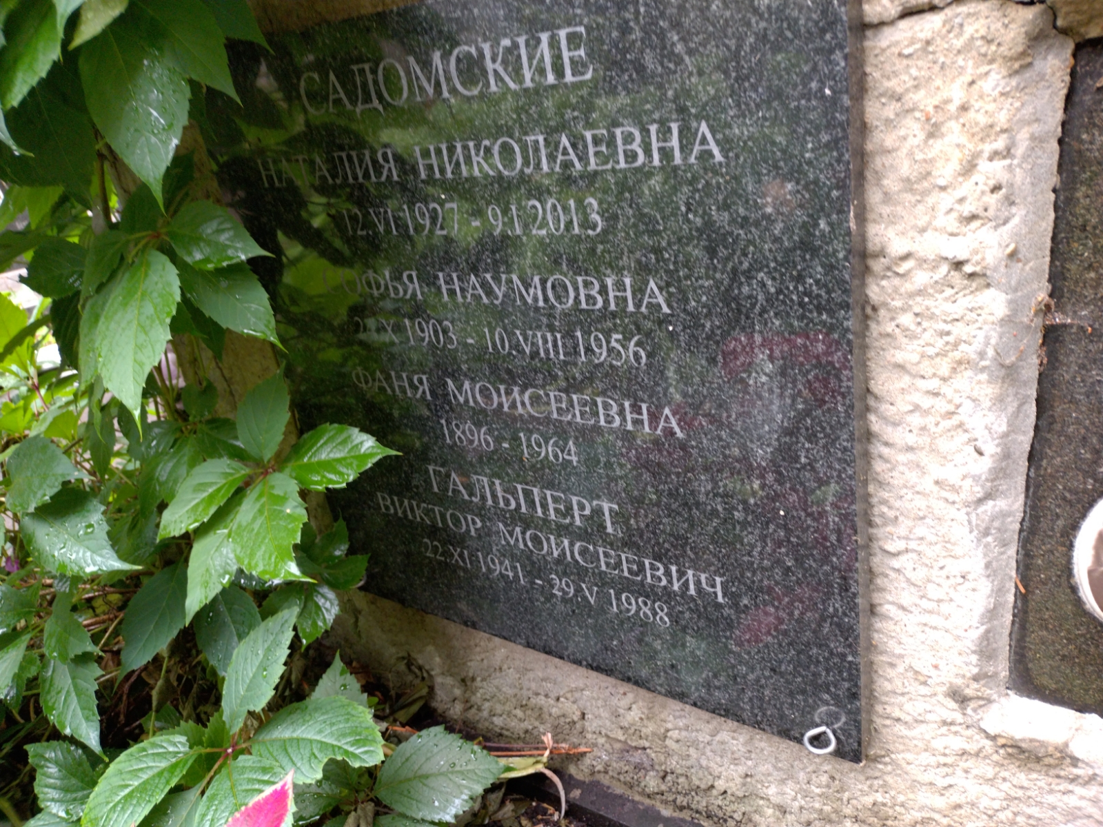 Гальперт Виктор Моисеевич