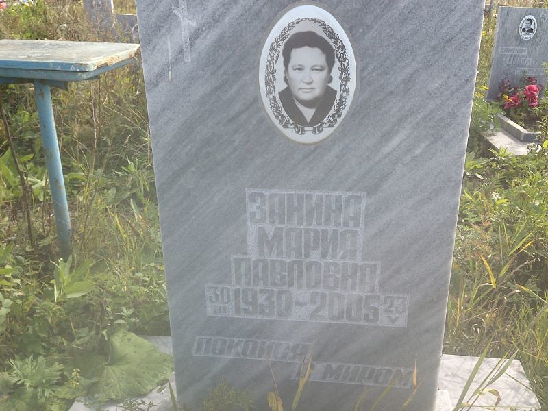 Занина