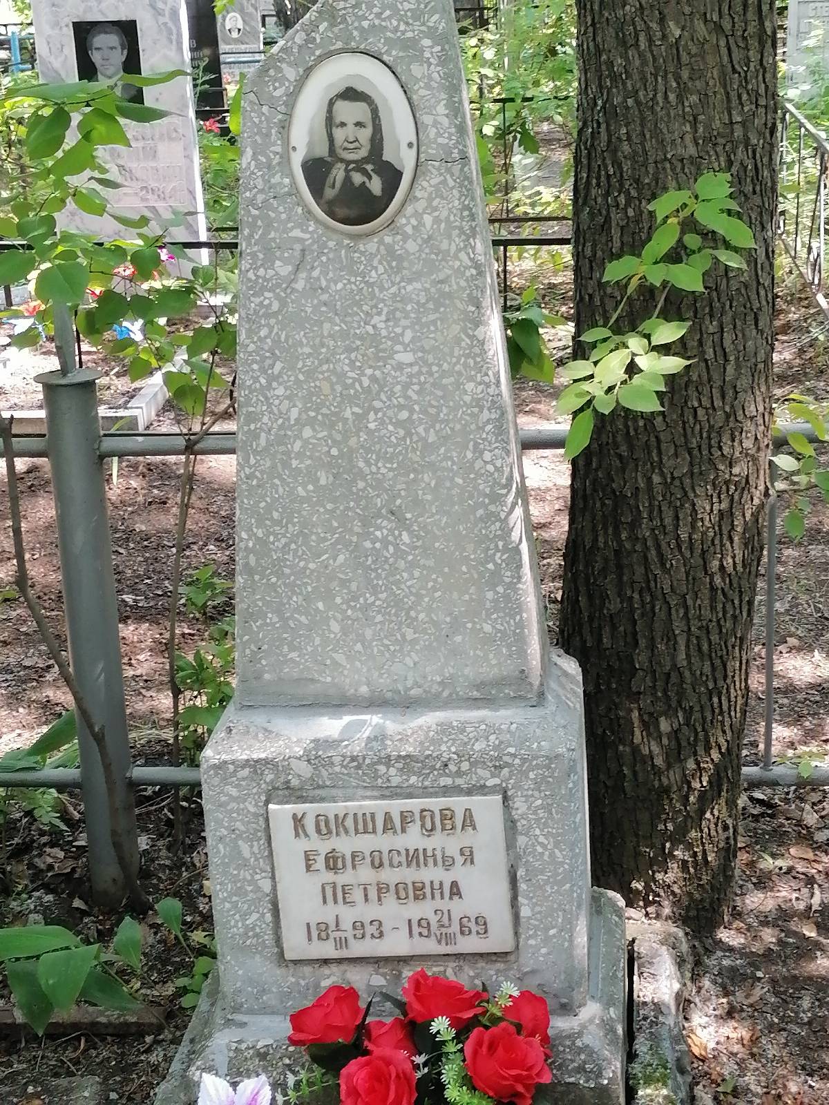 Кокшарова Ефросинья Петровна