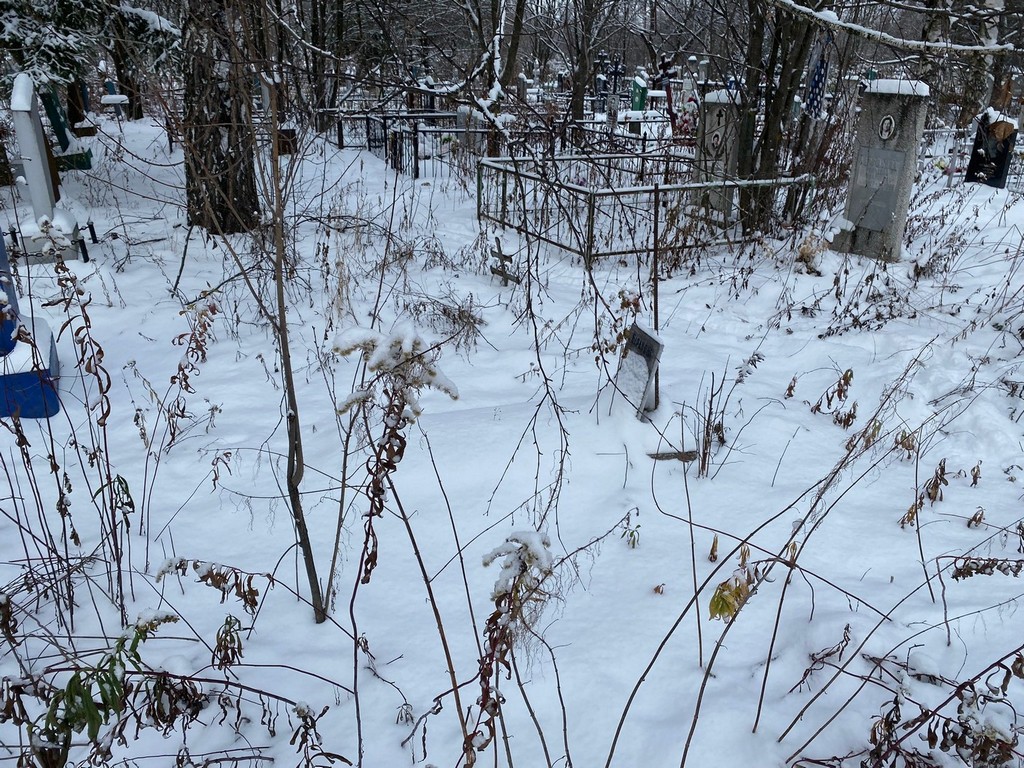 Баранова Анна Николаевна
