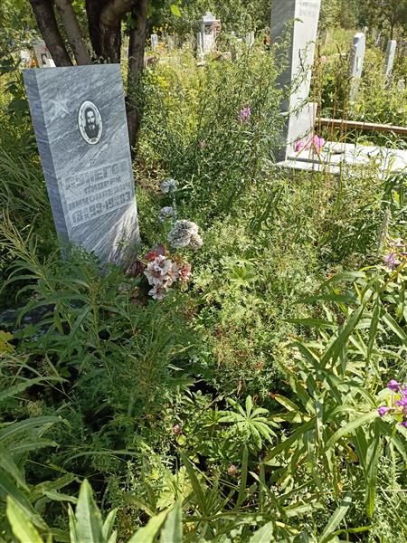 Лунегов Андрей Николаевич