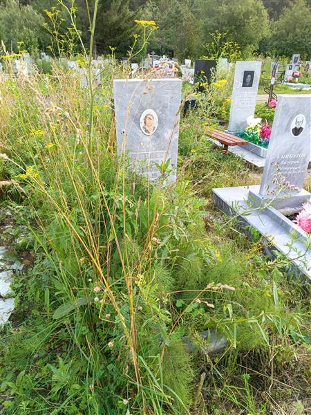 Лебедева Лида Павловна