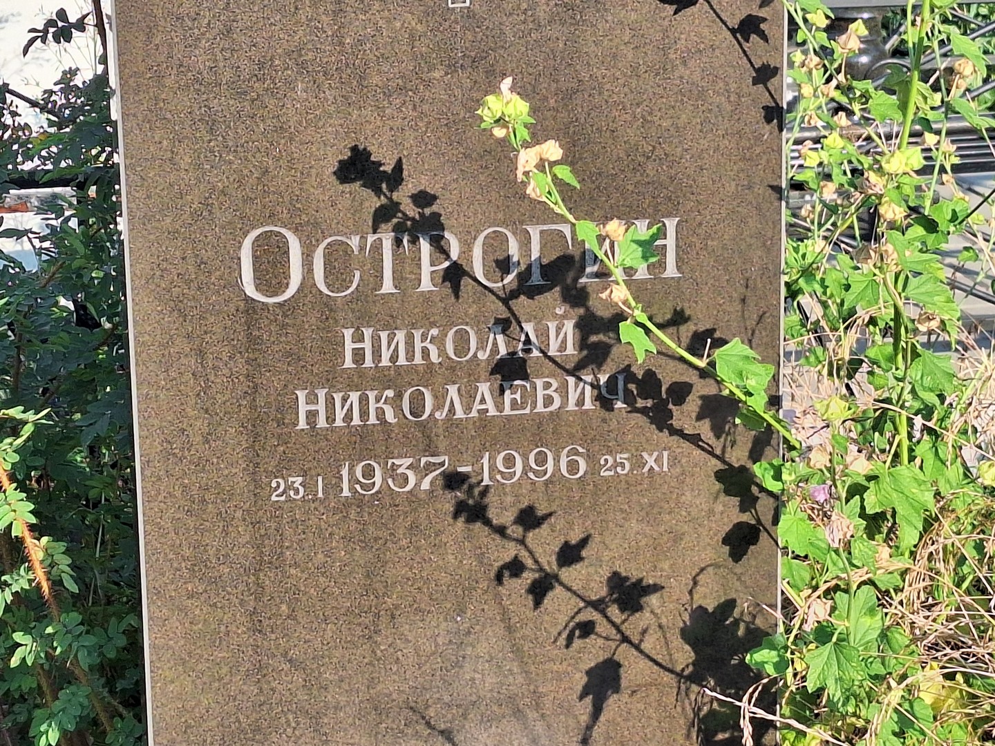 Острогин