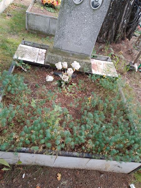 Есаулова Анастасия Максимовна