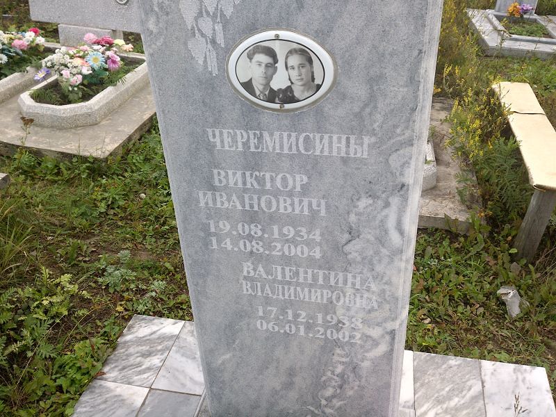 Черемисин