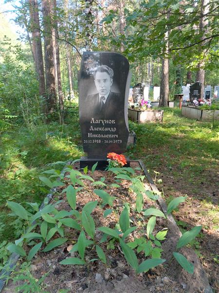 Лагунов Александр Николаевич