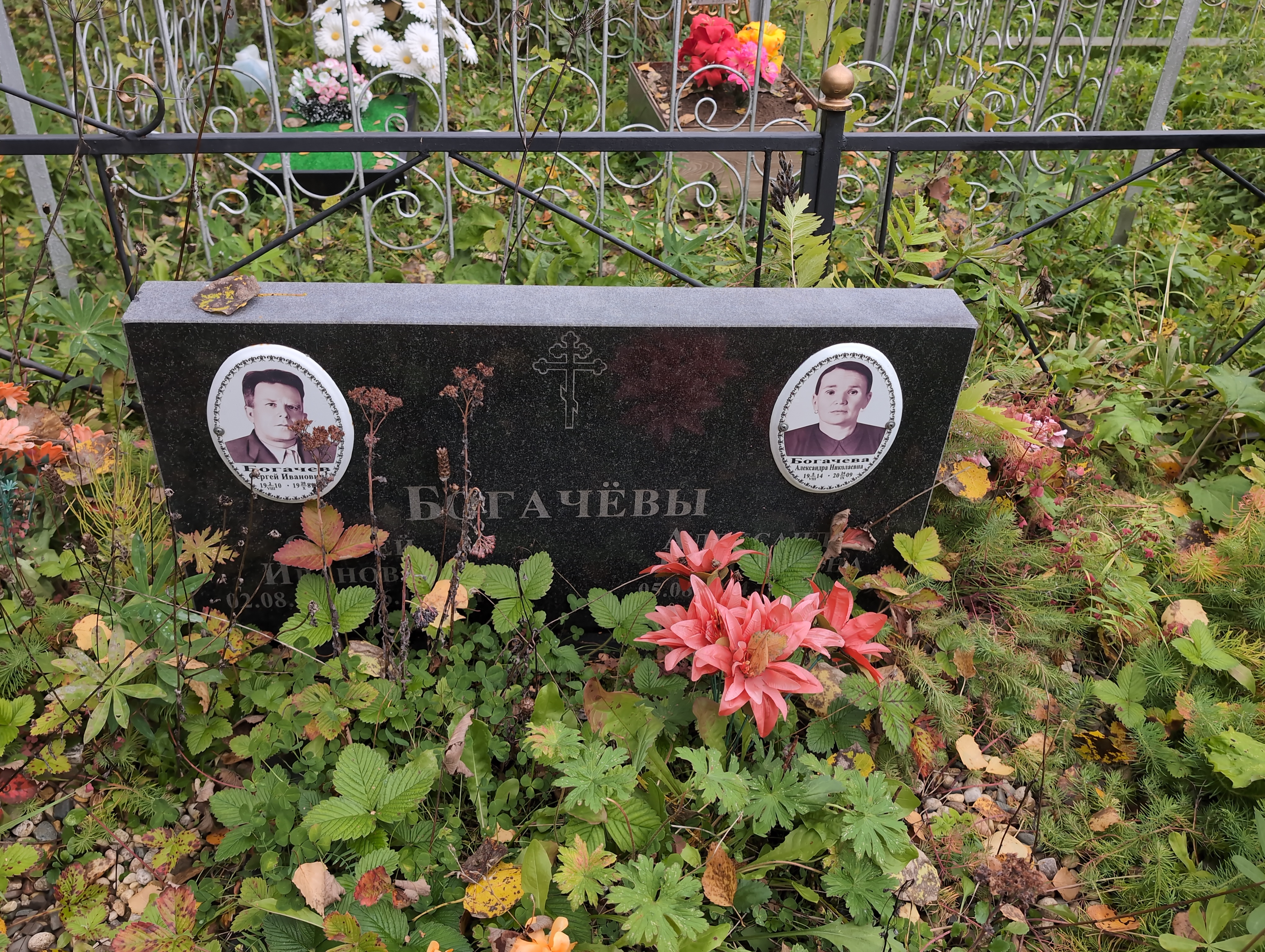 Богачева Александра Николаевна