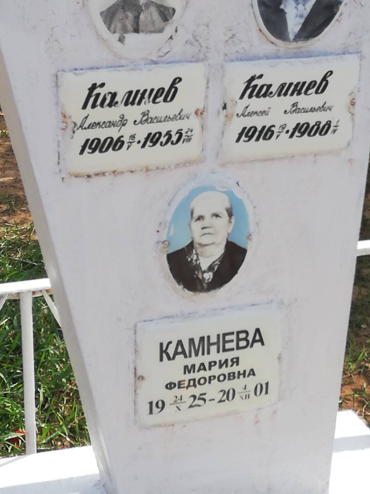 Камнев Александр Васильевич
