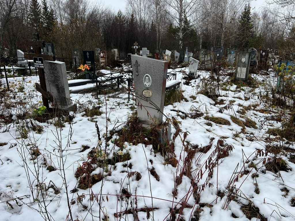 Андреева Анфиса Андреевна