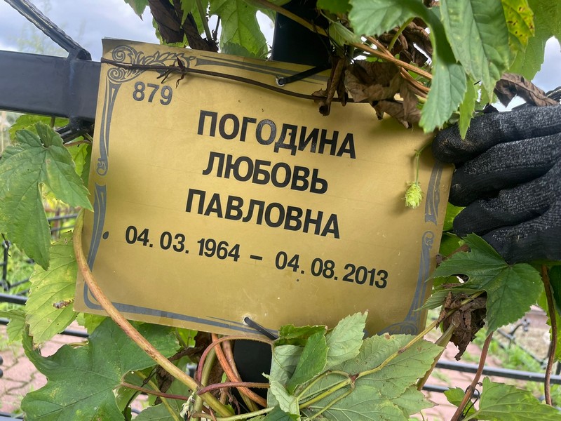 Погодина