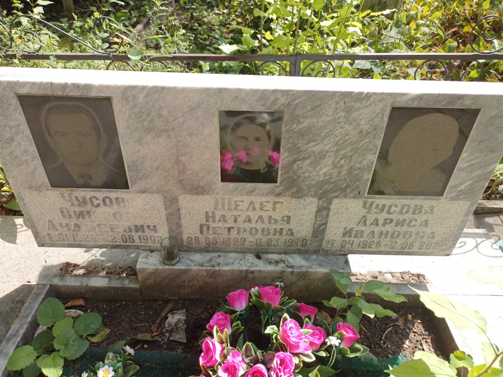 Шелег Наталья Петровна