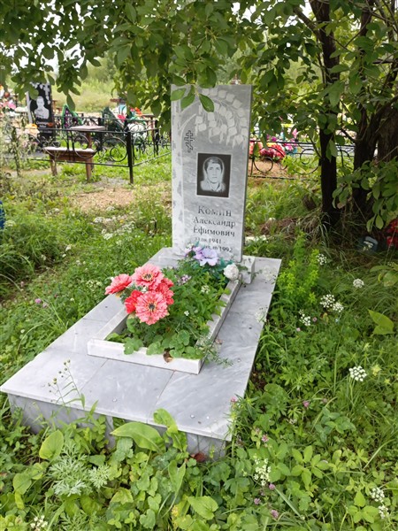Комин Александр Ефимович