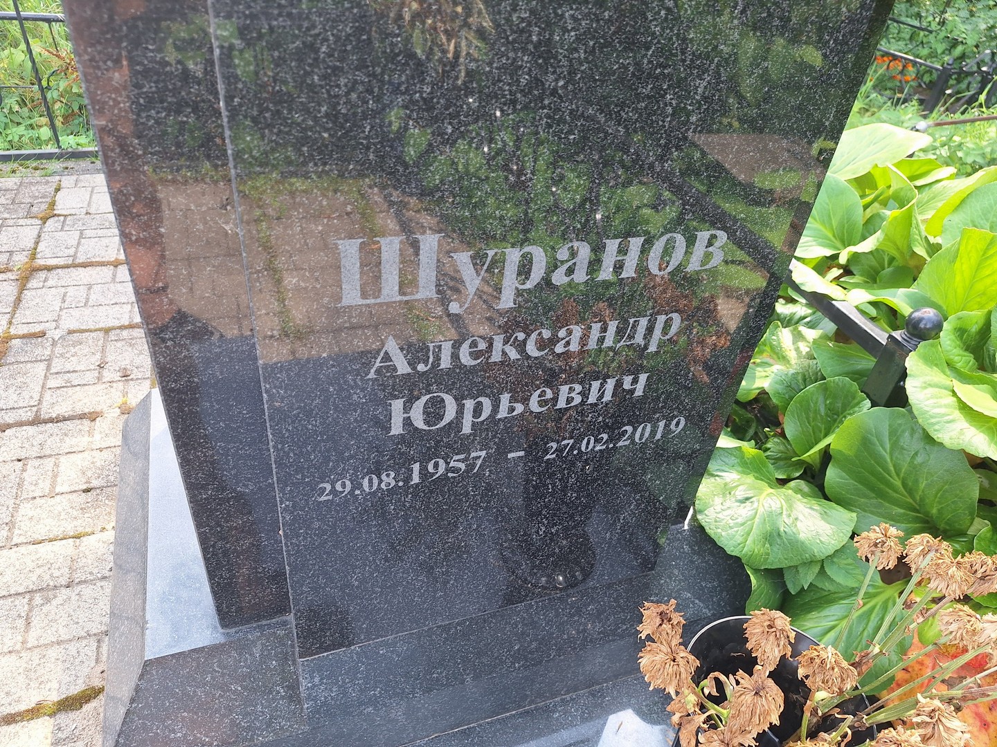 Шуранов