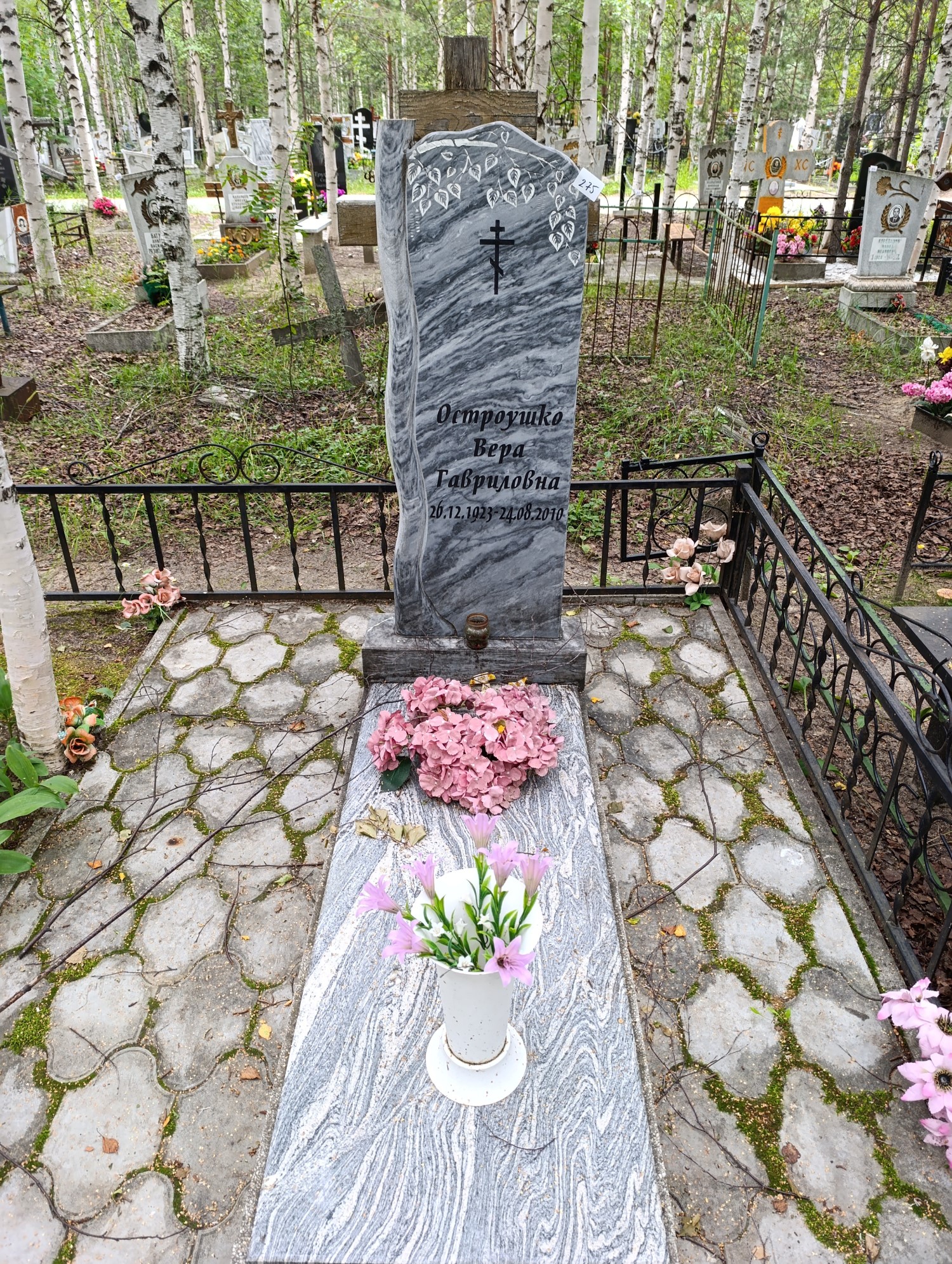 Остроушко Вера Гавриловна