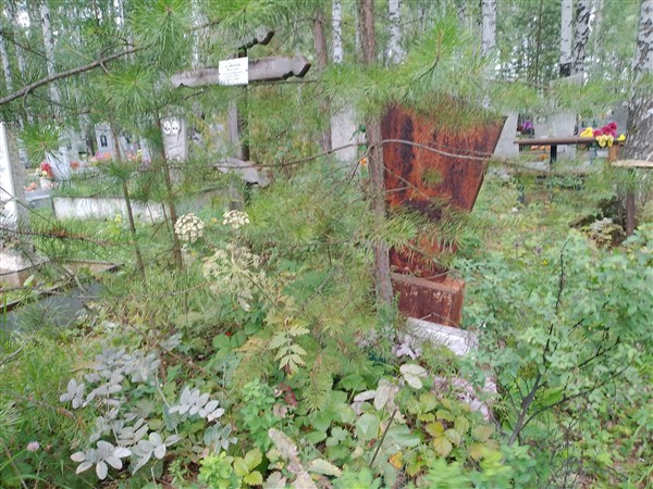 Шишков Александр Николаевич