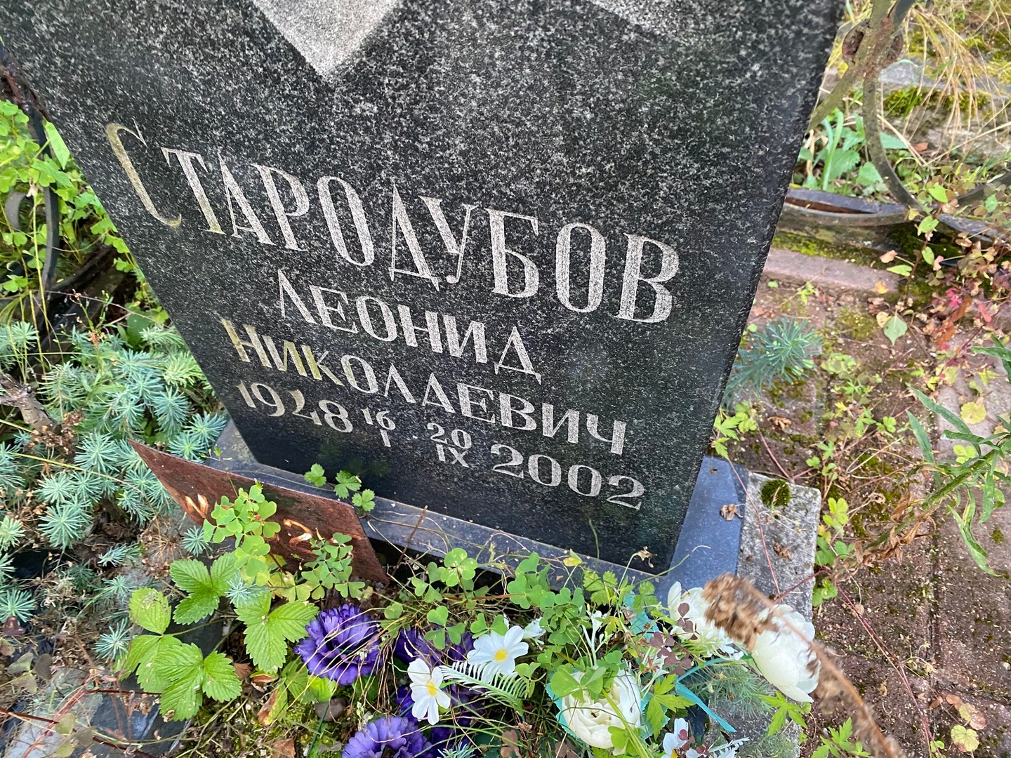 Стародубов