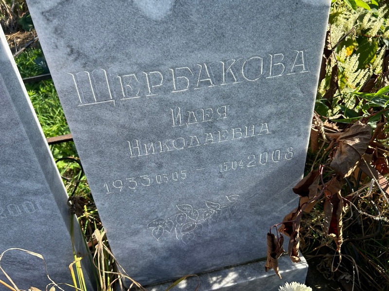 Идея Щербакова Николаевна