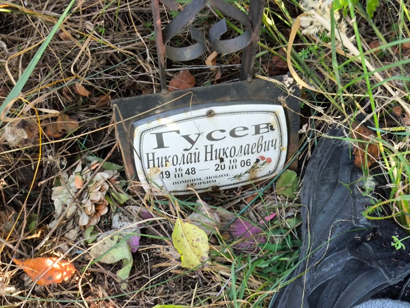 Гусев