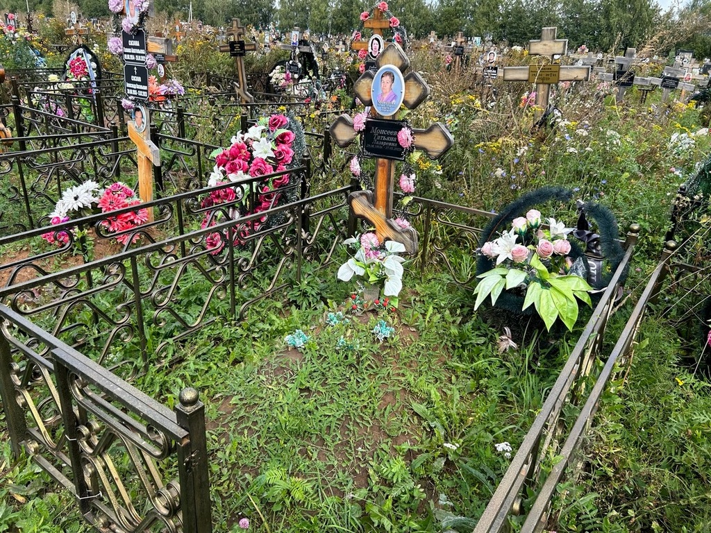 Моисеева Татьяна Лазаревна