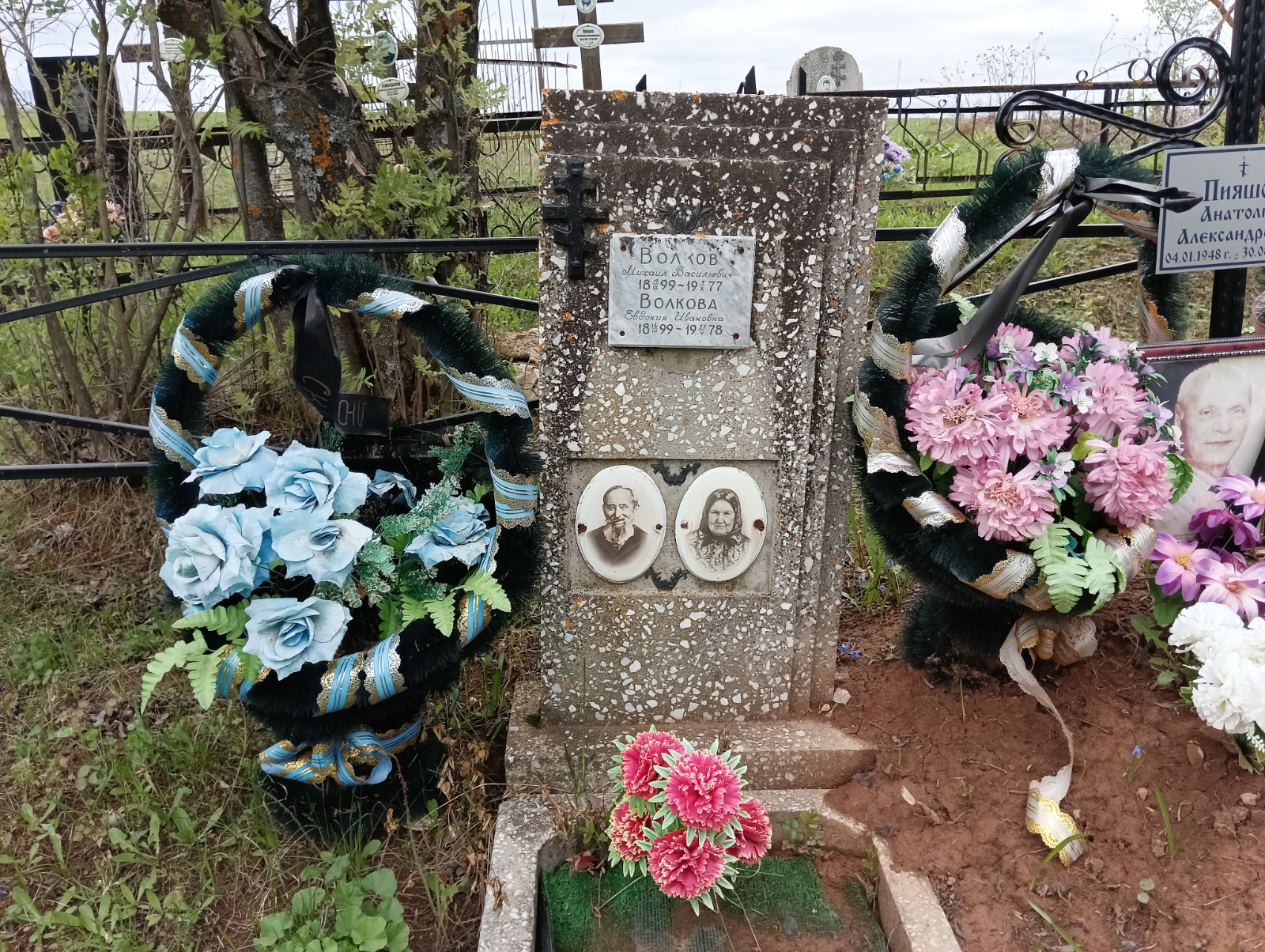 Волков Михаил Васильевич