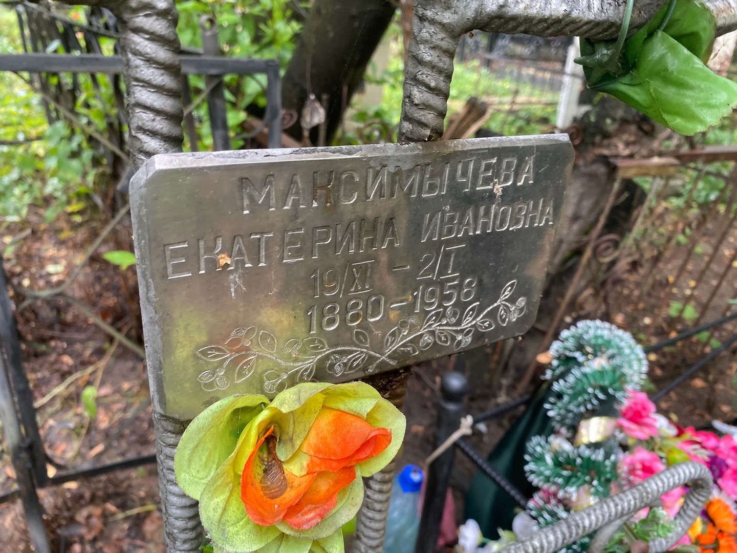 Максимычева