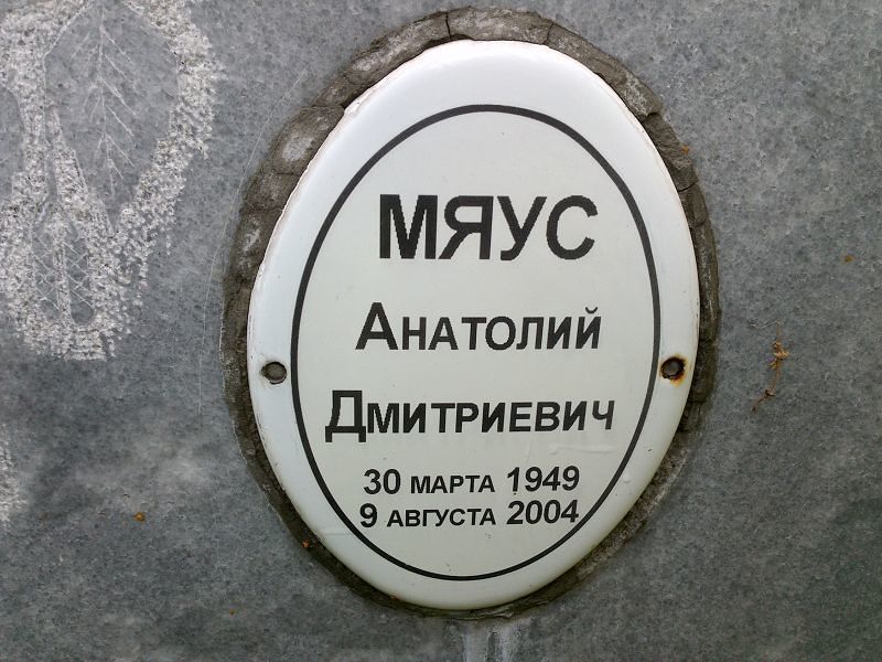 Мяус