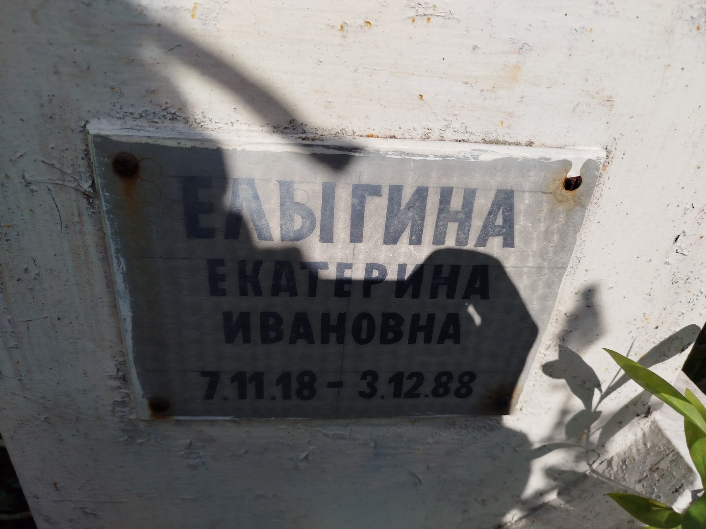 Елыгина