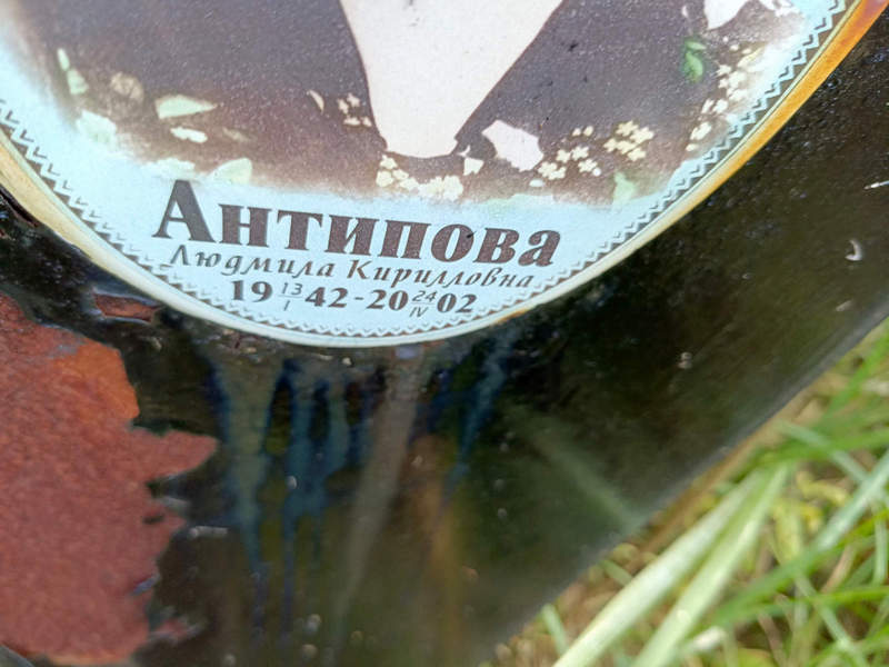 Антипова