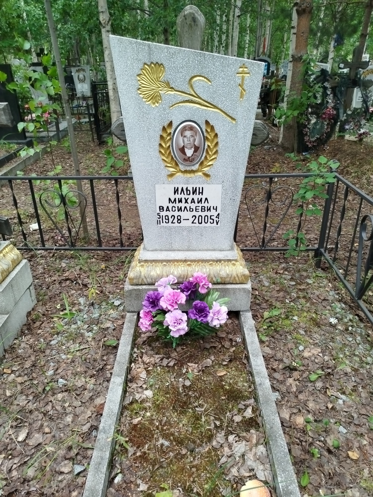 Ильин Михаил Васильевич