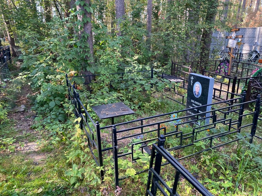 Шелипов Михаил Александрович