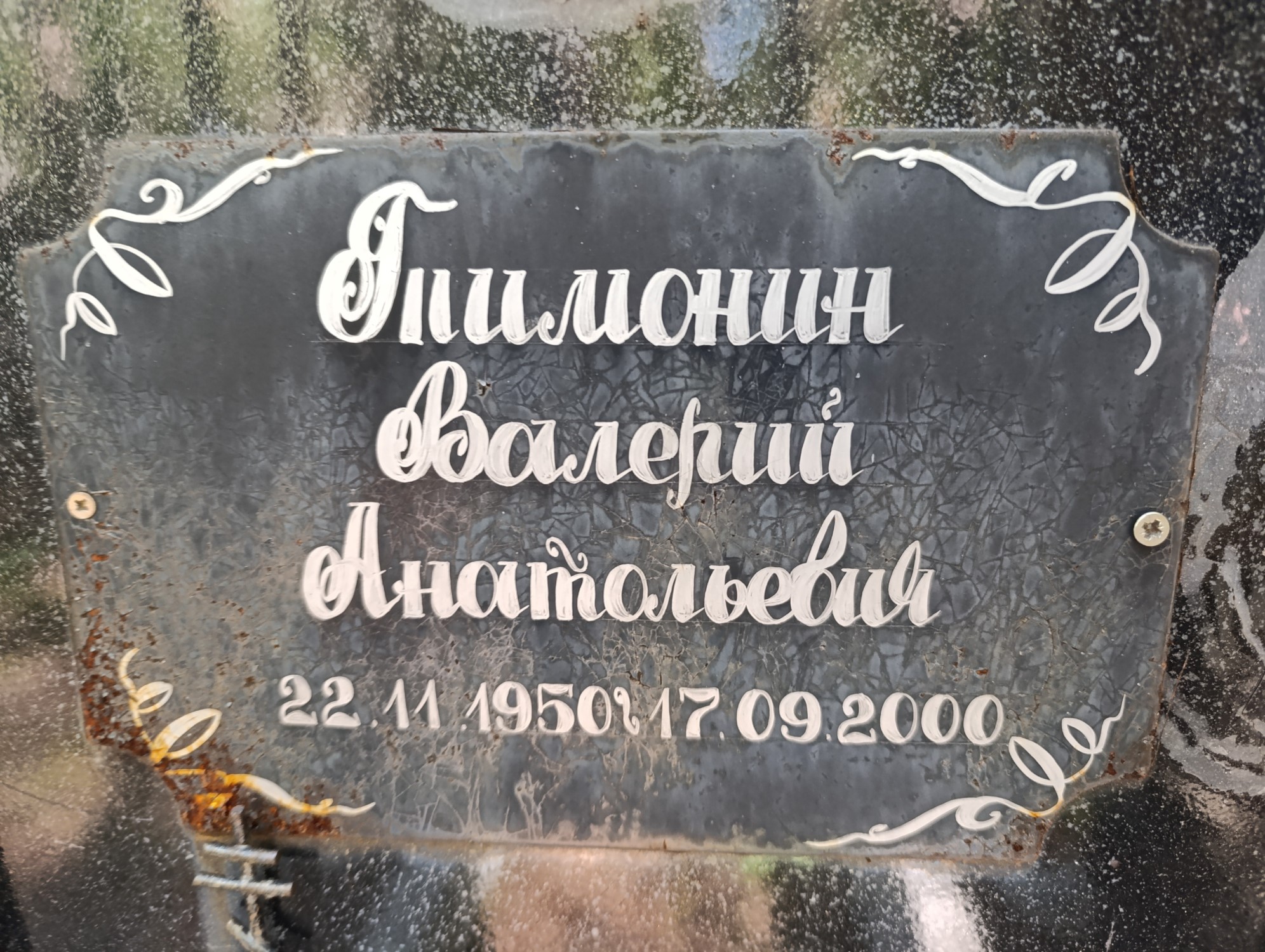 Тимонин Валерий Анатольевич