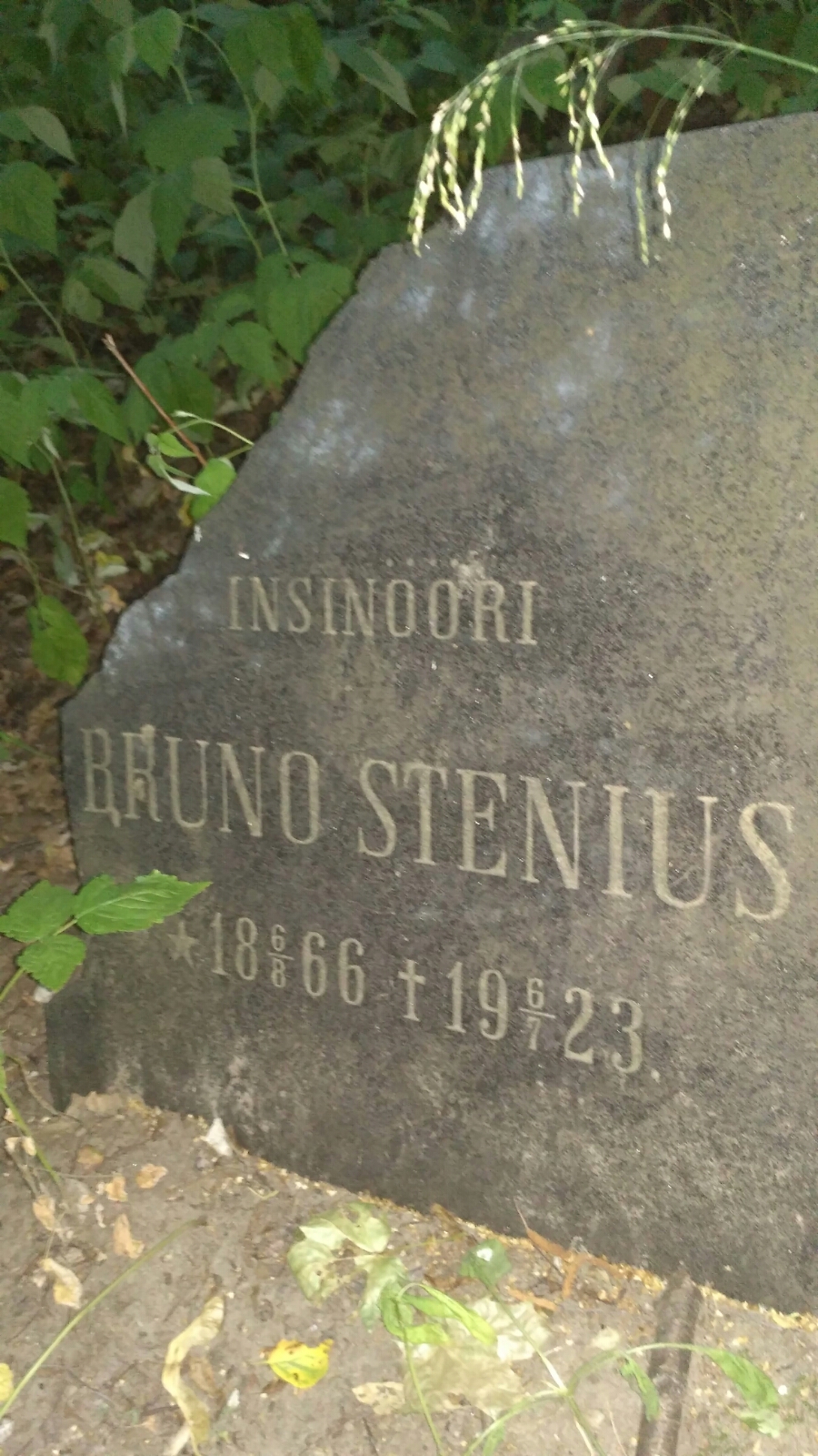 Stenius Bruno