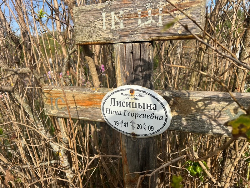 Лисицына